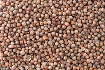 Coriander Seeds (Coriandrum sativum) texture background.