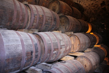 Martinique - Habitation Cl&eacute;ment