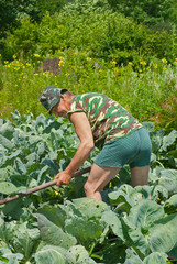Man with Hoe 16