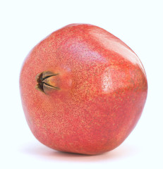 Lonely pomegranate
