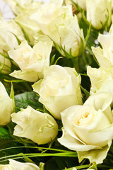 white roses