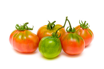 Tomatoes on a white background