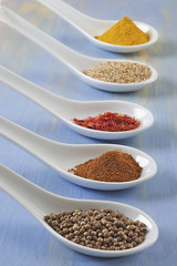 ÉPICES : Coriandre-Paprika-Safran-Sésame-Curry