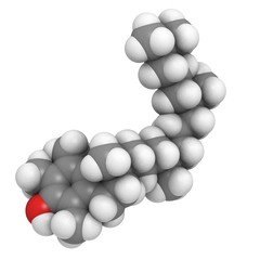 Vitamin E (alpha-tocopherol) molecule