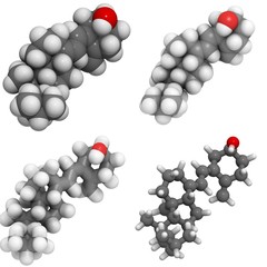 Vitamin D3 (cholecalciferol) molecule