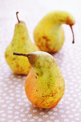 ripe pears on a table