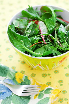 Plate of a fresh green salad .