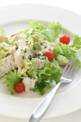 Chicken Salad