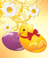 Easter eggs and chick the ornamental background with daffodils