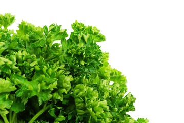 green parsley