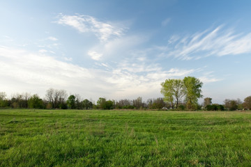 Green pasture and blue sky