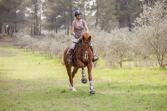 Young woman on a horse