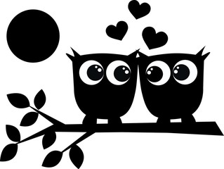two owls in love