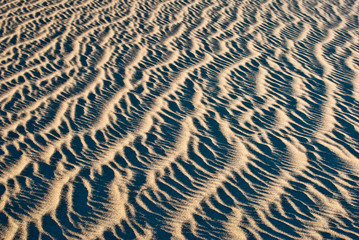 Sand Ridges