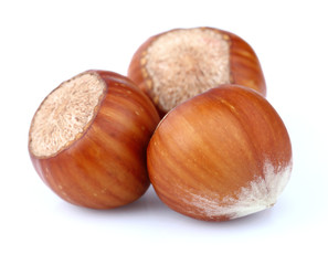 Hazelnuts in closeup