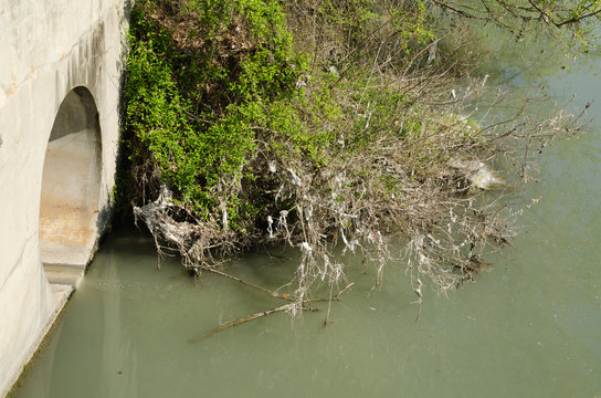 Fognatura