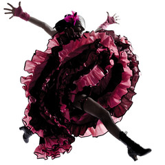 Fototapeta premium woman dancer dancing french cancan