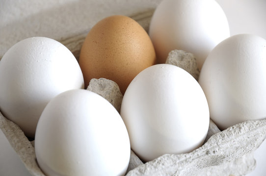 White eggs and brown
