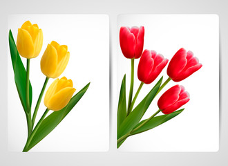 Set of banners with colorful flower  Vector illustration
