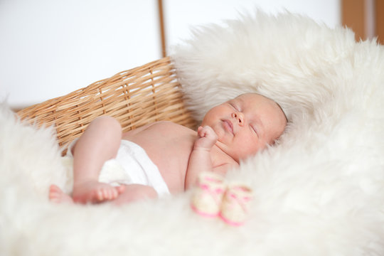 newborn adorable baby are sleeping in a wicker basket