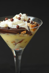 Coupe chocolat vanille-9552