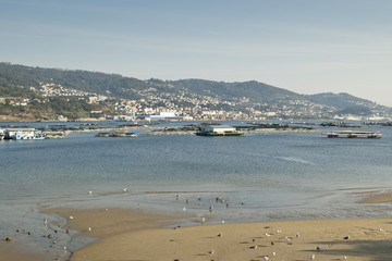 Ria of Vigo, Pontevedra, Galicia, Spain