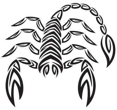 tattoo zodiac scorpion. astrology sign