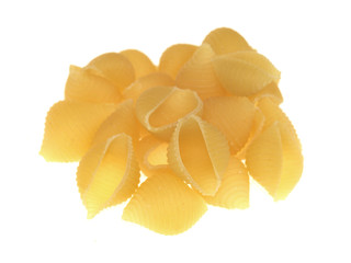 Conchiglie Regate Pasta Shells