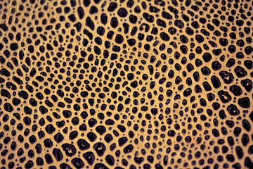 reptile skin texture/background