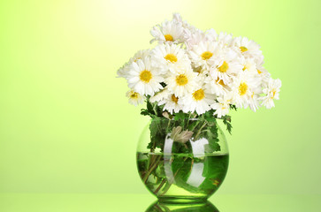 beautiful bouquet of daisies in vase on green background