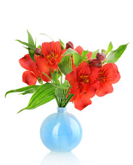 Alstroemeria in vase isolated on white