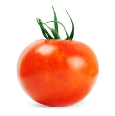 tomato isolated on white