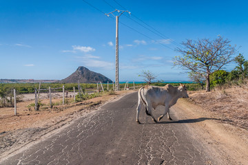 The road of Ramena