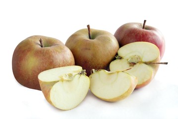 renet apples