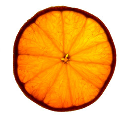slice of orange in macro, with transapency