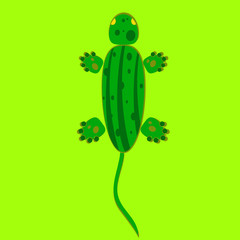 lizard illustration vector