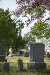 Fototapeta premium Gravestones