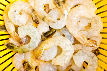 Group of shrimps