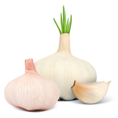 Garlic with clove isolated on white