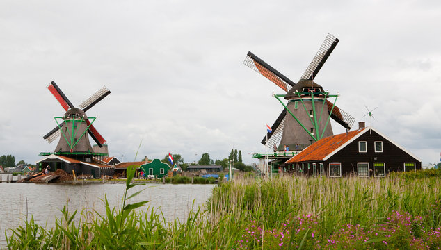 Kinderdijk Dutch Windmills and Flowers