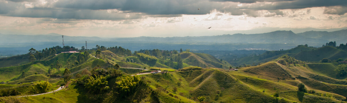 Panorama in the coffee triangle region of Colombia