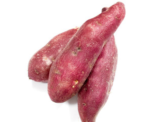 Sweet Potato / Ipomoea batatas L. サツマイモ／薩摩芋