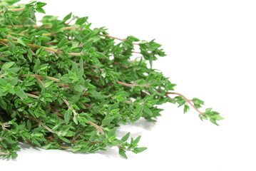 thyme