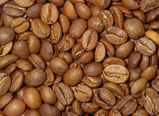 coffee grains
