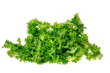 green salad isolated on a white background