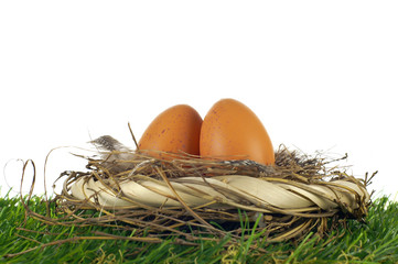 oeufs de poule posés sur un nid