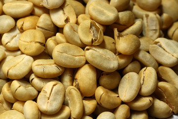 Fresh coffee beans not roast