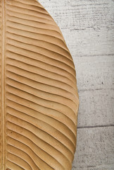 Half dry banana leaf isolated on wooden floor