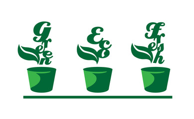 Green words in pots