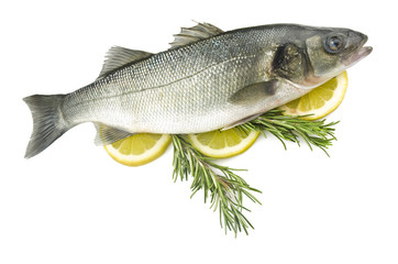 sea bass